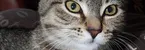 (Product Favorites) PC_ProductReviewPICKS_2.jpg