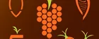 (Business Logos) JuicePLus2009.jpg